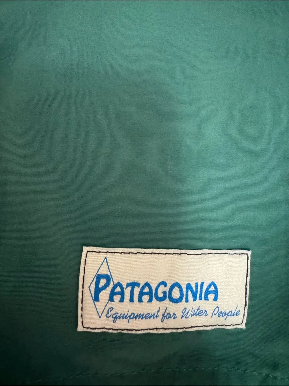 Patagonia Green Swim Board Shorts with Mustard Waistband and Blue Side Stripe